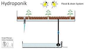 Abbildung: Skizze eines Hydroponiksystemes mit "Ebbe und Flut - Technik"