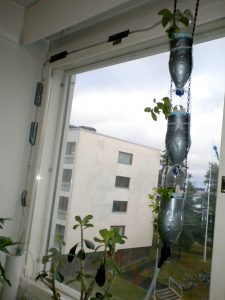 Windowfarm
