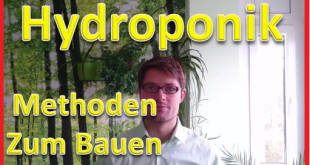 hydroponik-methoden-zum-selbst-bauen