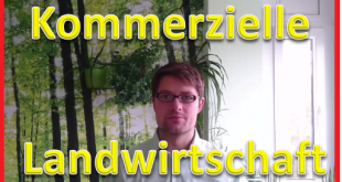 hydroponik-kommerzielle-landwirtschaft
