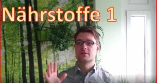 Hydroponik und Nährstoffe 1