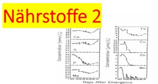 Nährstoffe 2