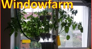 Newsletter Fimdowfarm